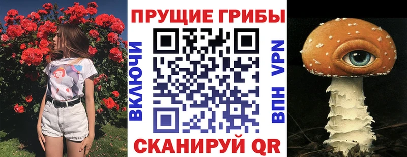 Псилоцибиновые грибы Cubensis  Топки 
