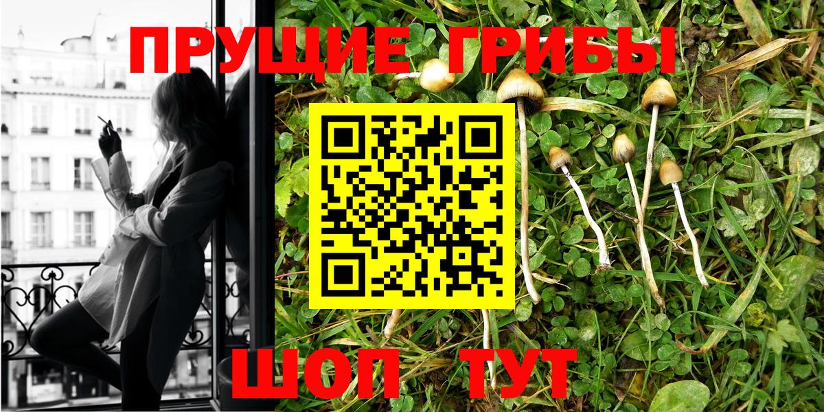 Псилоцибиновые грибы мухоморы  купить наркоту  Топки  Вход с VPN 