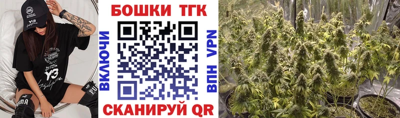 где купить наркотик  Топки  Бошки марихуана конопля 